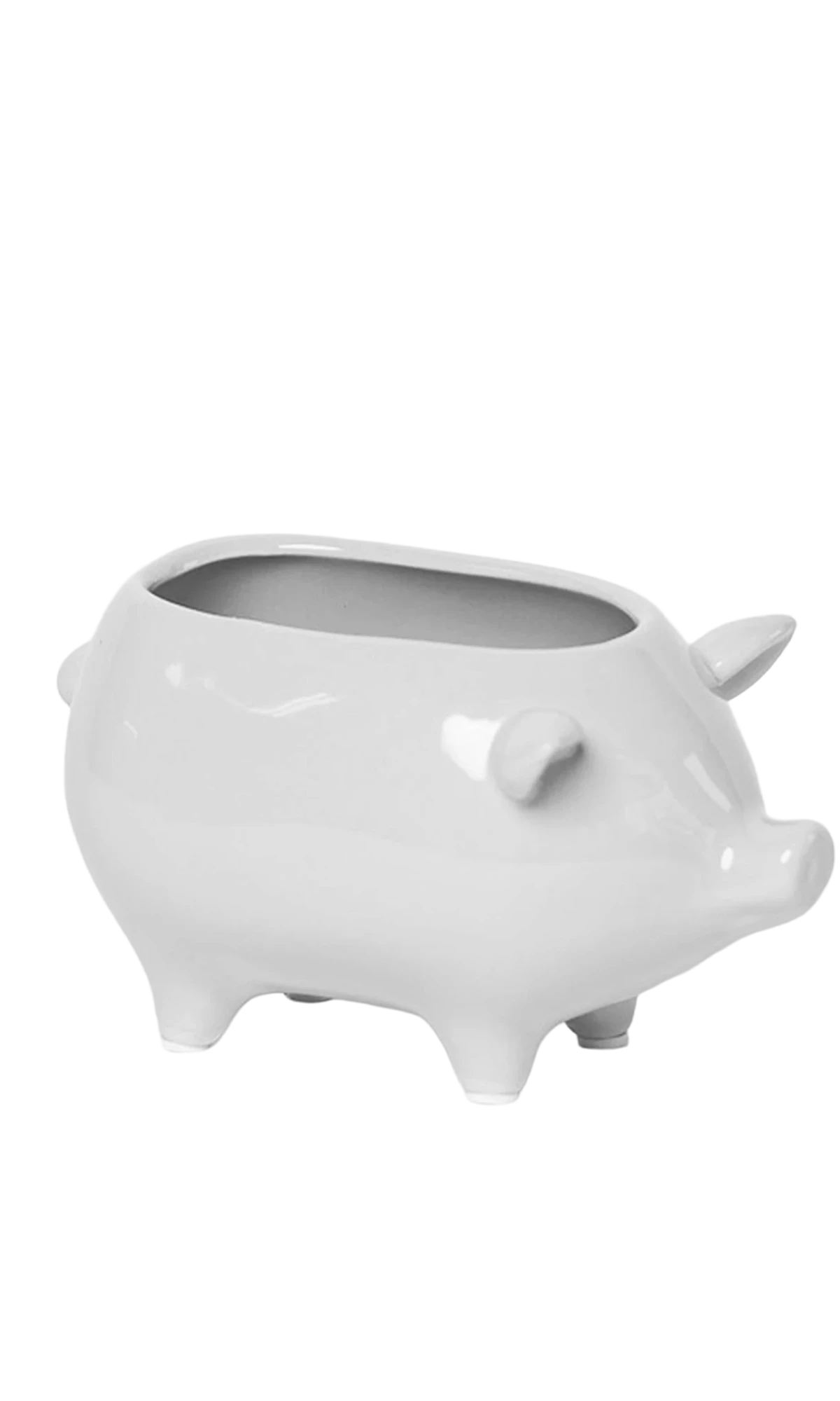 Chive Pig White color ceramic pig shaped succulent planter with no drainage.
