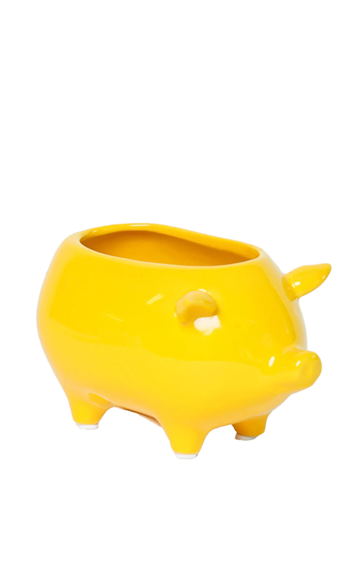 Chive Pig Yellow color ceramic pig shaped succulent planter with no drainage.