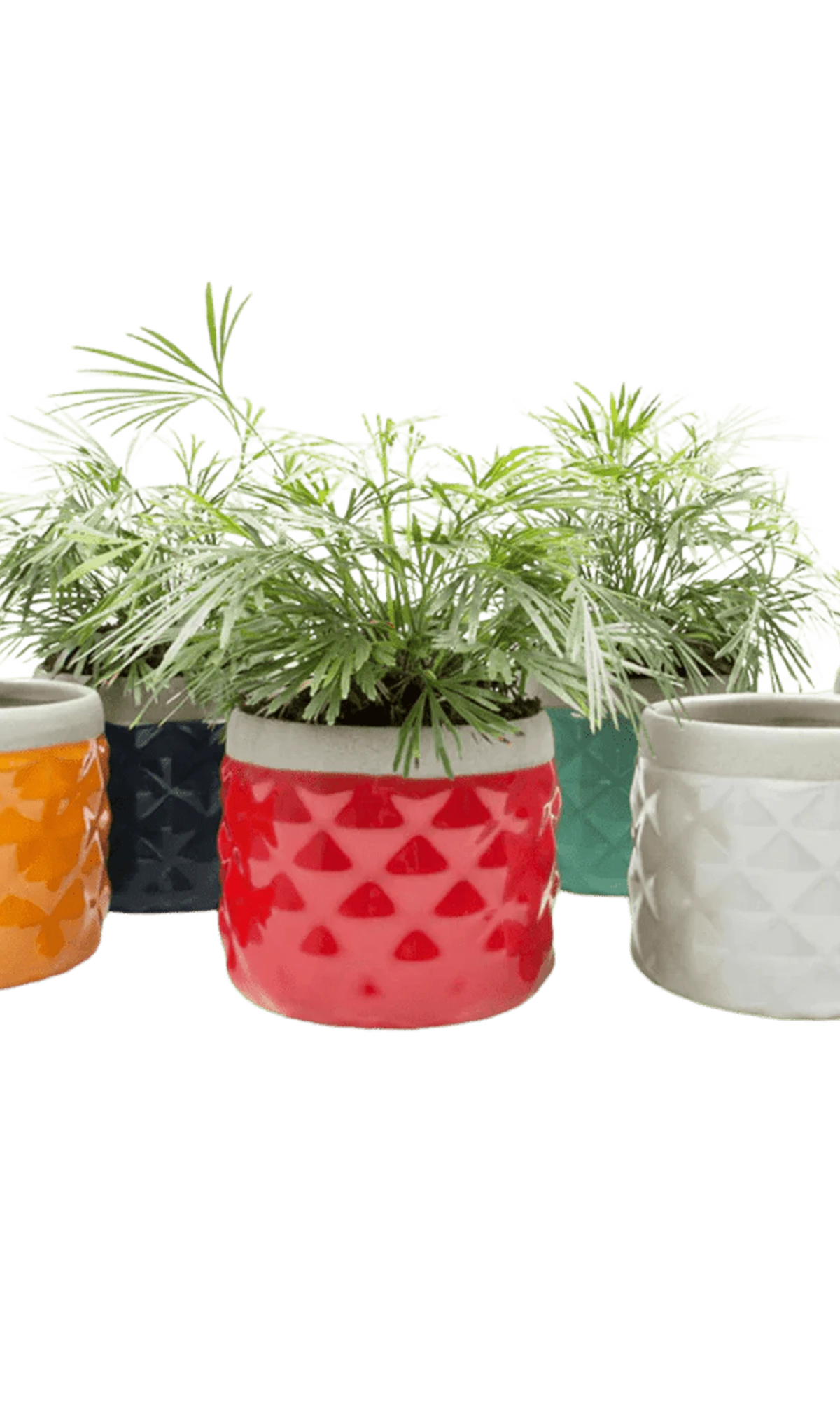 Multiple Chive Pina glazed ceramic diamond-textured planters in multiple colors styled with plants.