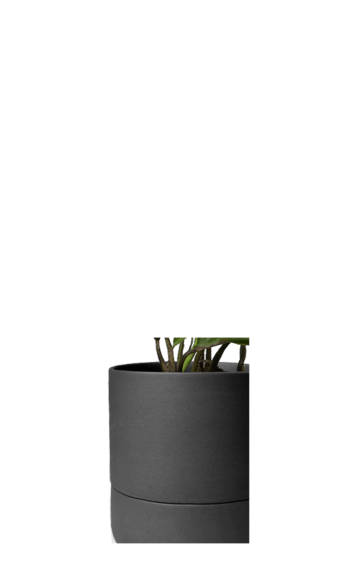 Close up of Chive Ryan black ceramic self-watering plant pot with drainage hole and detachable saucer.
