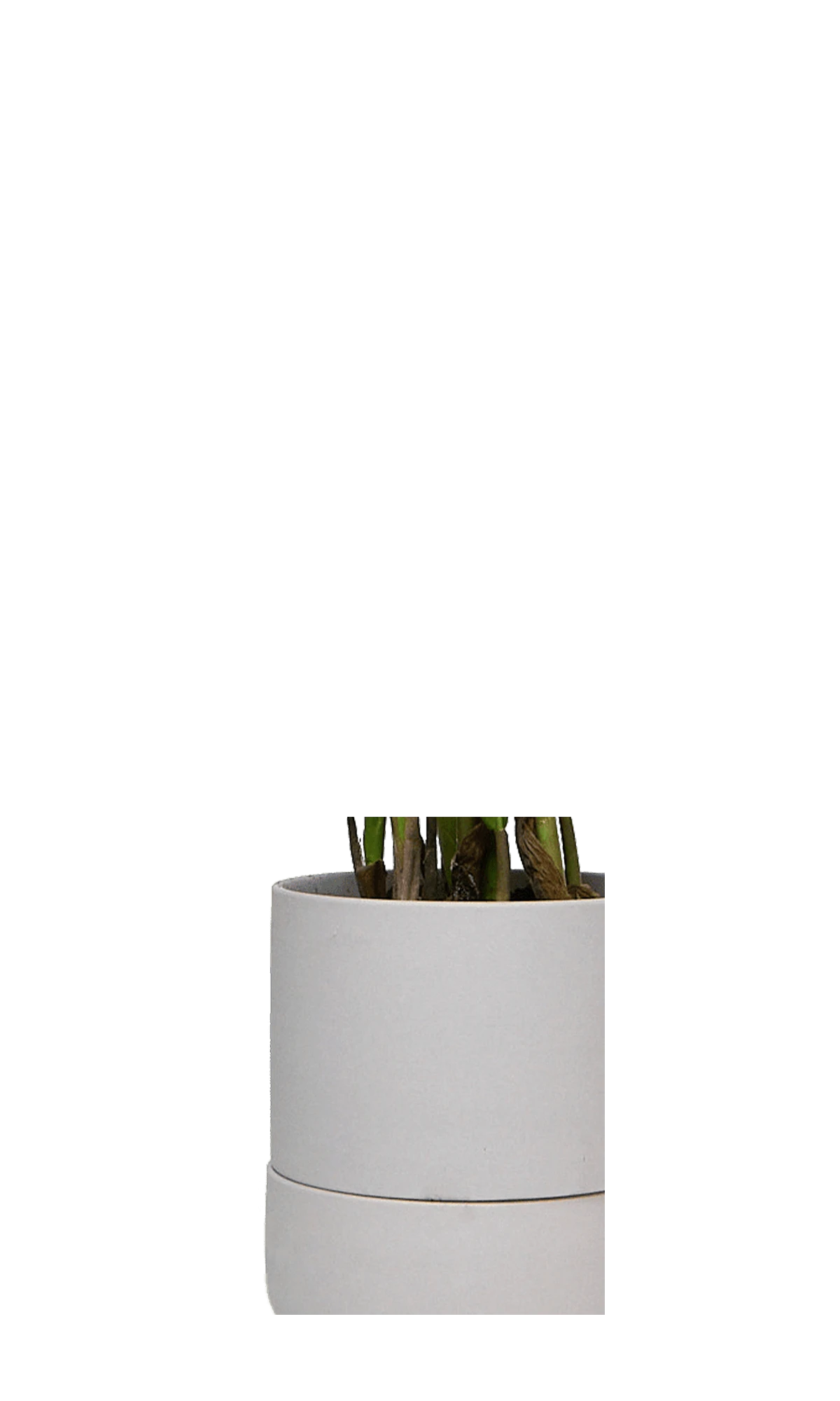 Close up of Chive Ryan grey ceramic self-watering plant pot with drainage hole and detachable saucer.