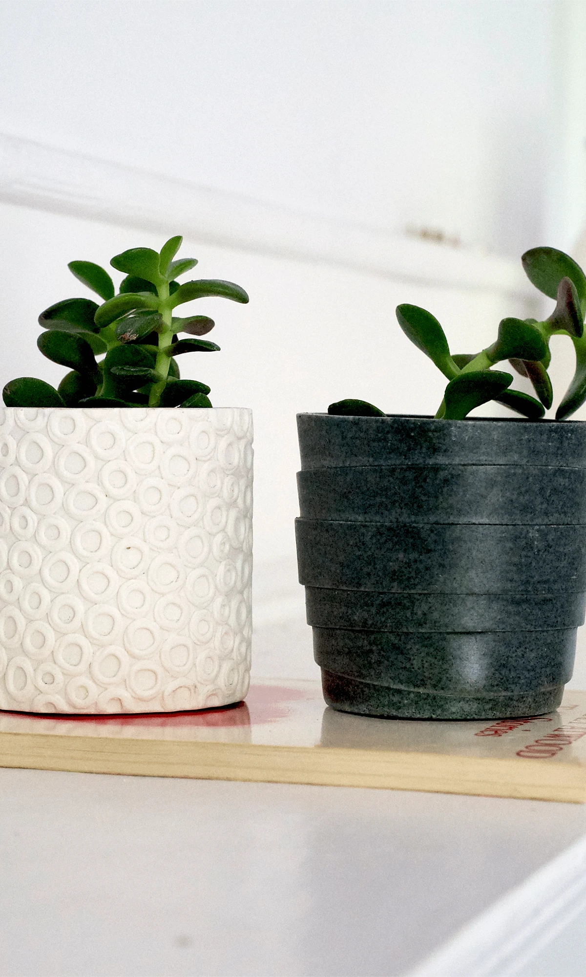 Two Chive Stagma resin planters in white and black styled with plants on a white shelf.