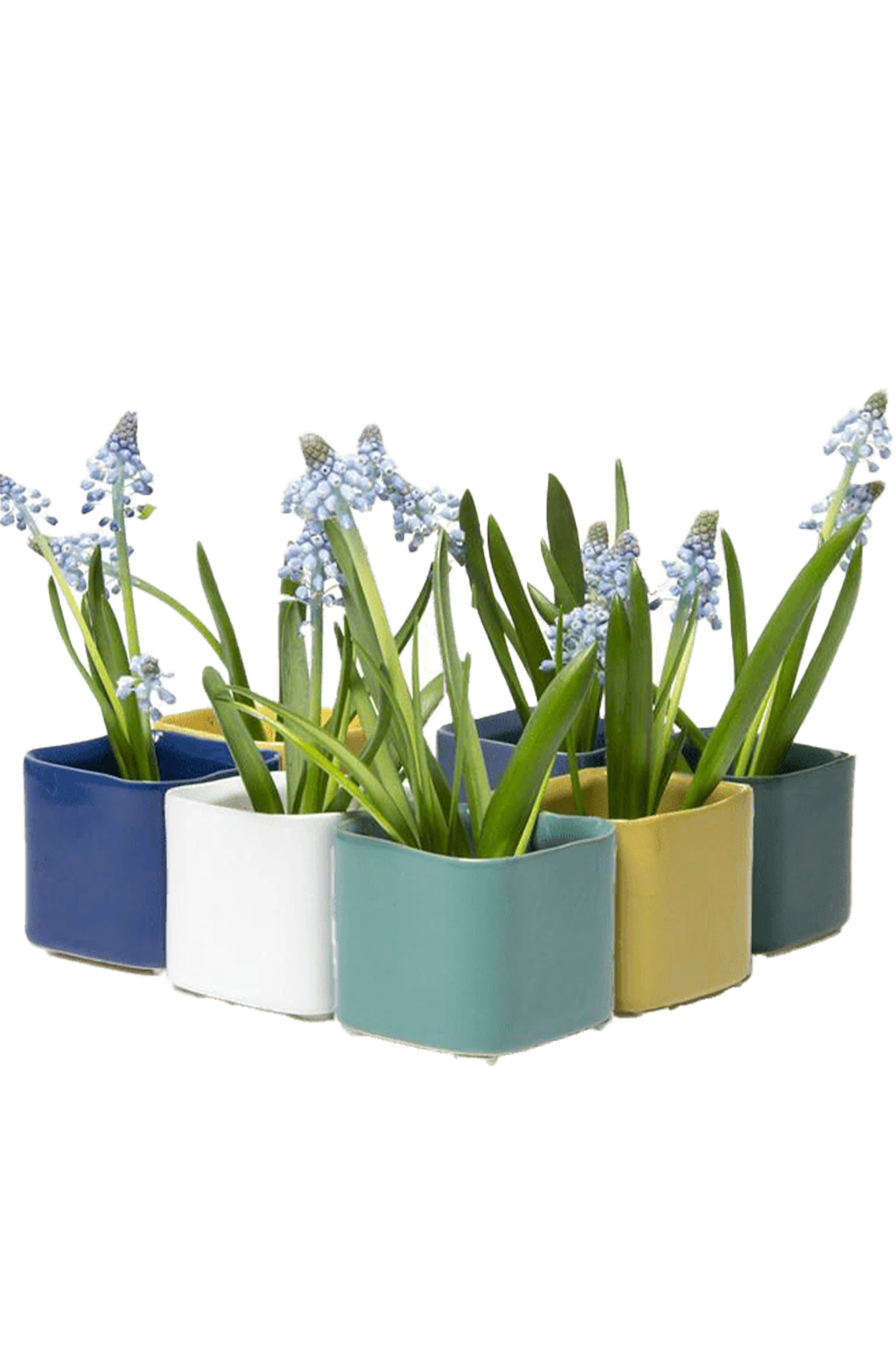 Multiple Chive Svek fully glazed ceramic planters in cold tone colors styled with small floral plants.