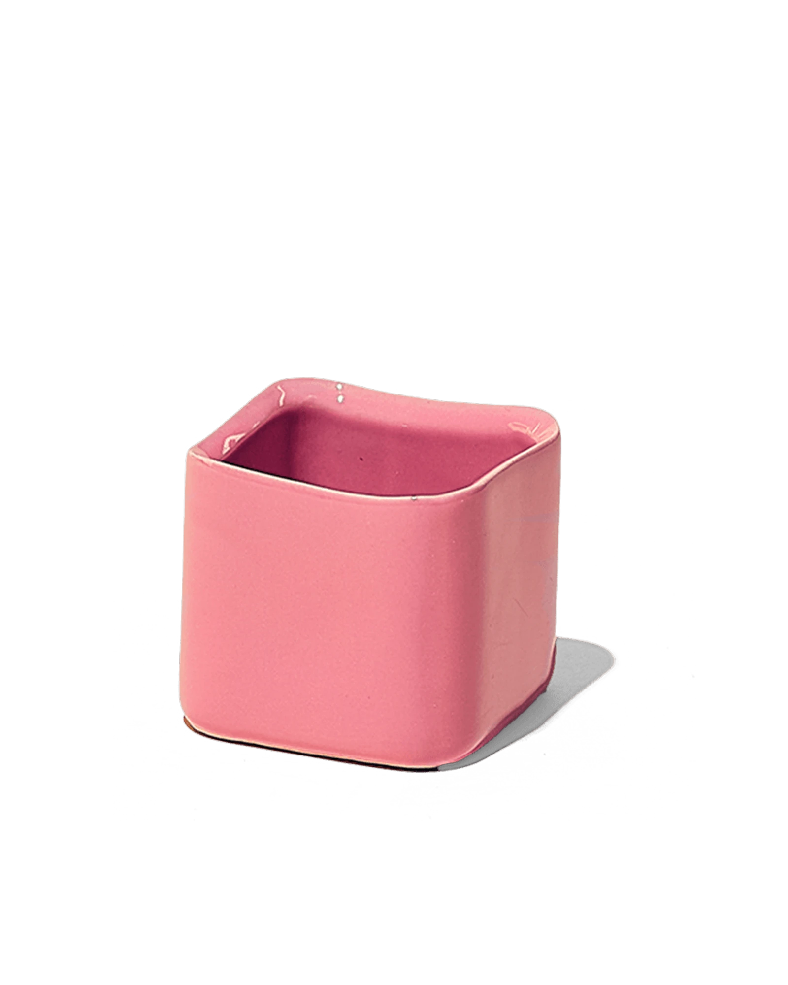 Chive Svek coral pink fully glazed ceramic planter with no drainage.