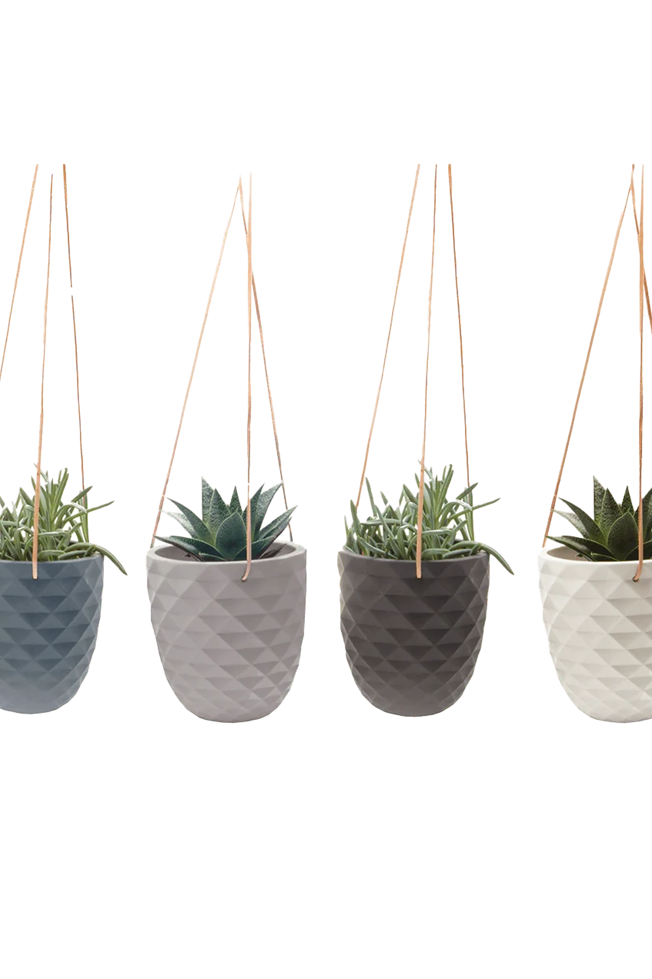 Chive Thimble porcelain hanging planters with no drainage in four color variations styled with succulents.