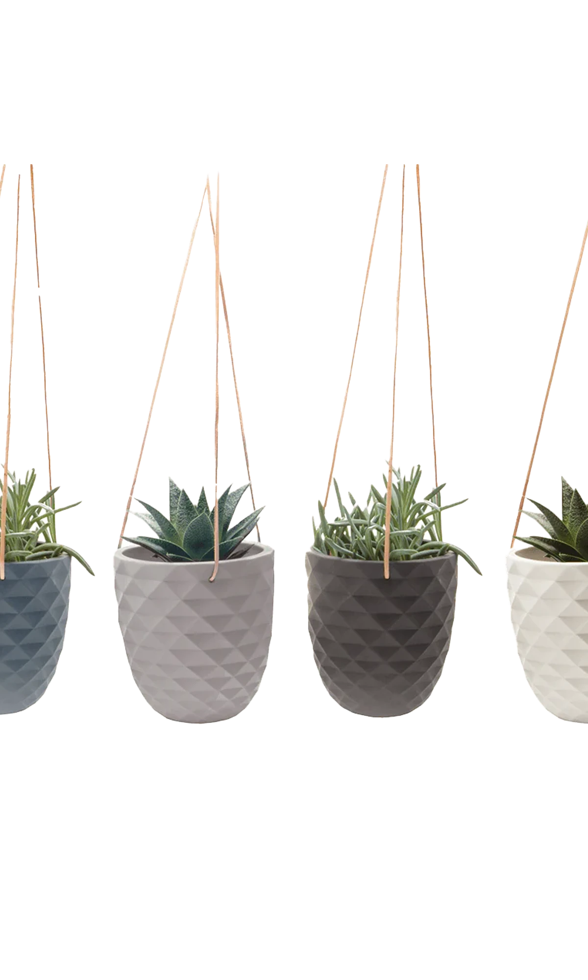 Chive Thimble porcelain hanging planters with no drainage in four color variations styled with succulents.
