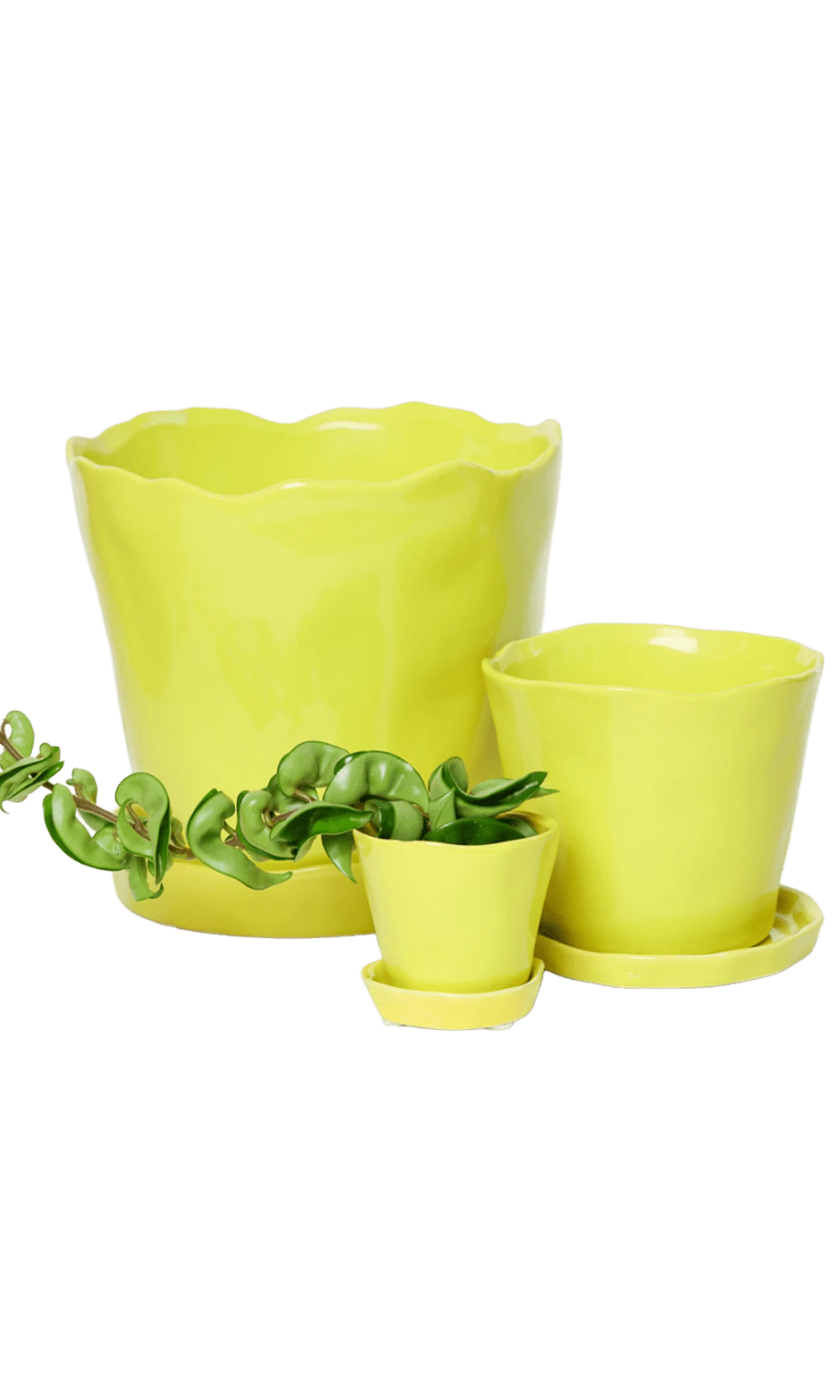 Chive Tika green sheen ceramic planters in small, medium, and large with saucers, styled with a plant.