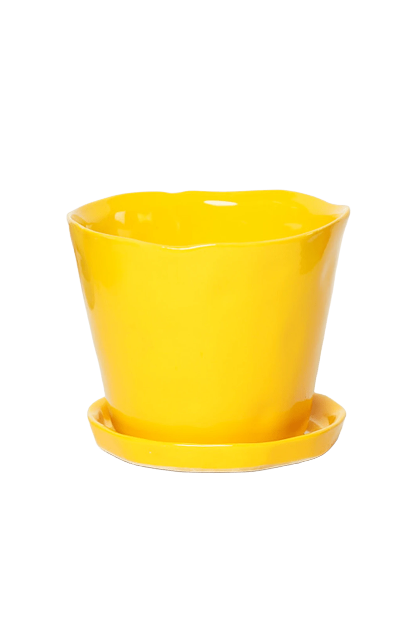 Chive Tika meadowlark yellow ceramic large plant pot with drainage hole and detachable saucer.
