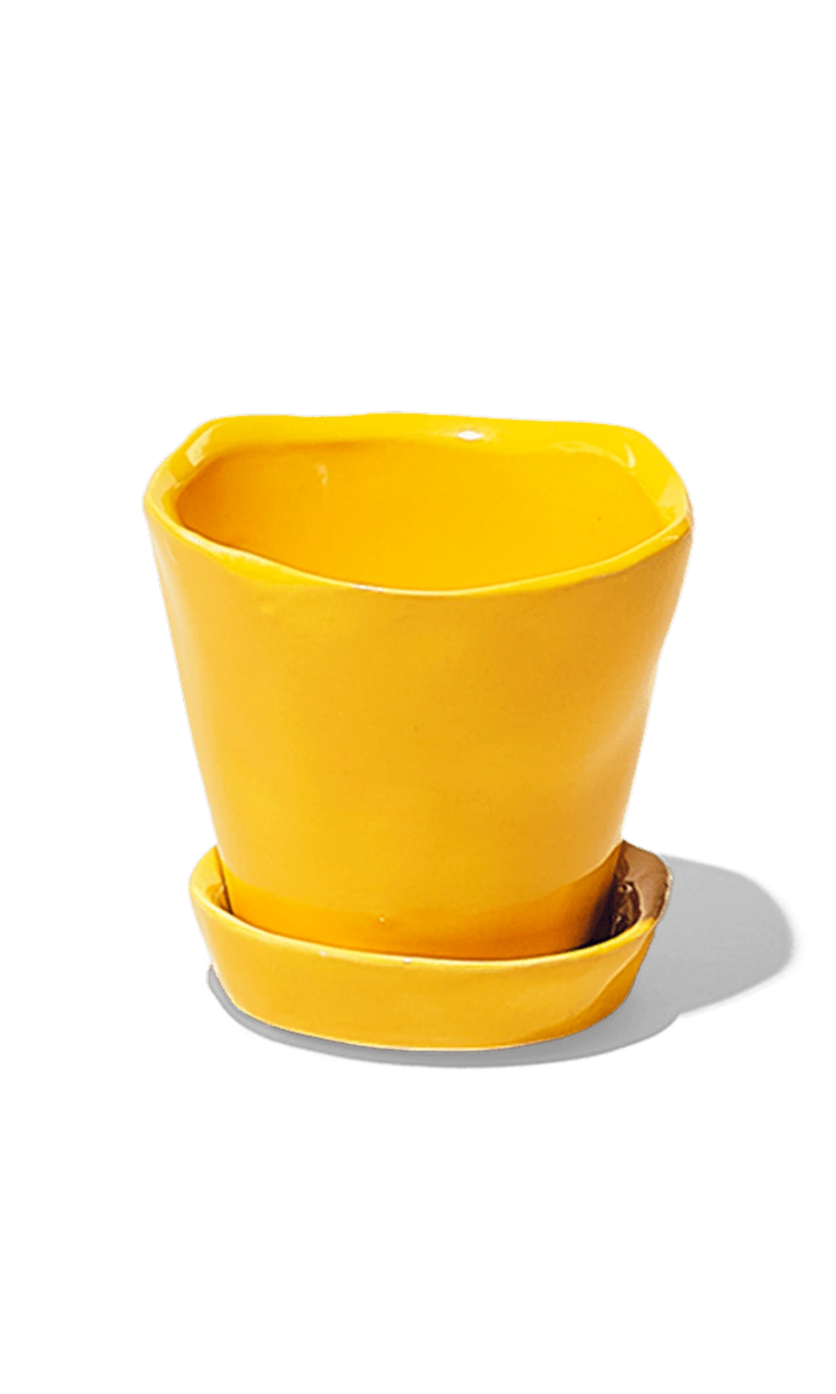 Chive Tika meadowlark yellow ceramic small plant pot with drainage hole and detachable saucer.