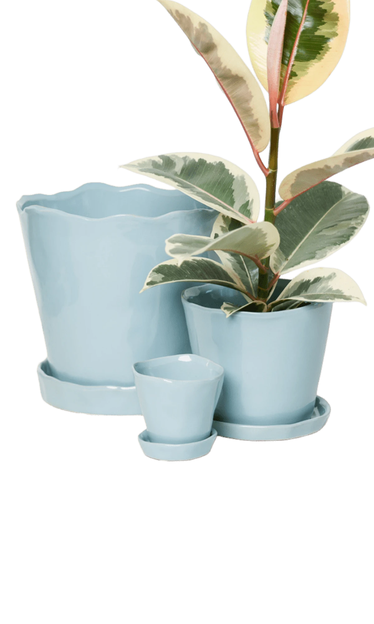 Chive Tika new grey ceramic planters in small, medium, and large with saucers, styled with a plant.