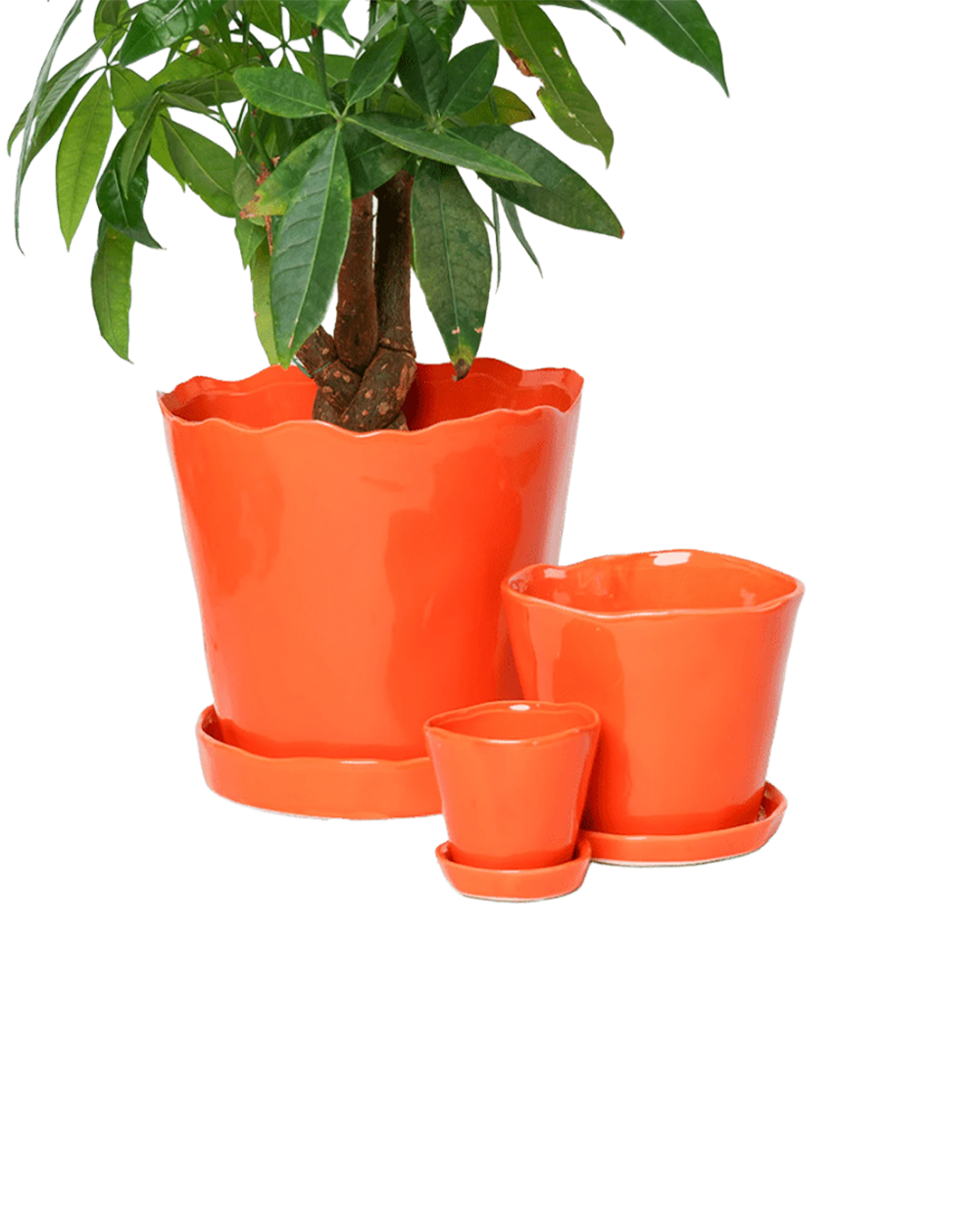 Chive Tika orange glazed ceramic planters in small, medium and large sizes with drainage and saucers, styled with a plant.