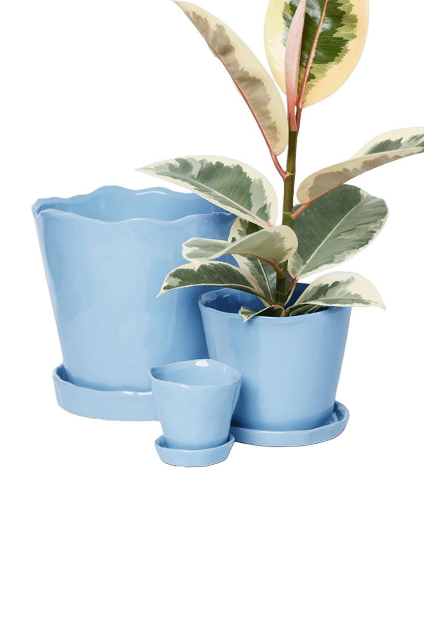 Chive Tika periwinkle glazed ceramic planters in small, medium and large sizes with drainage and saucers, styled with a plant.