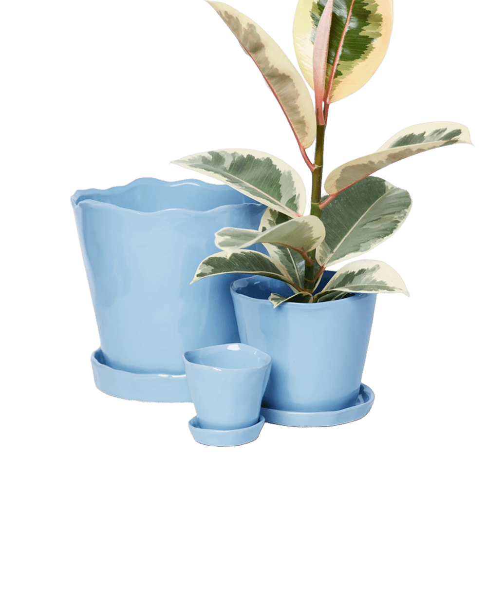 Chive Tika periwinkle glazed ceramic planters in small, medium and large sizes with drainage and saucers, styled with a plant.