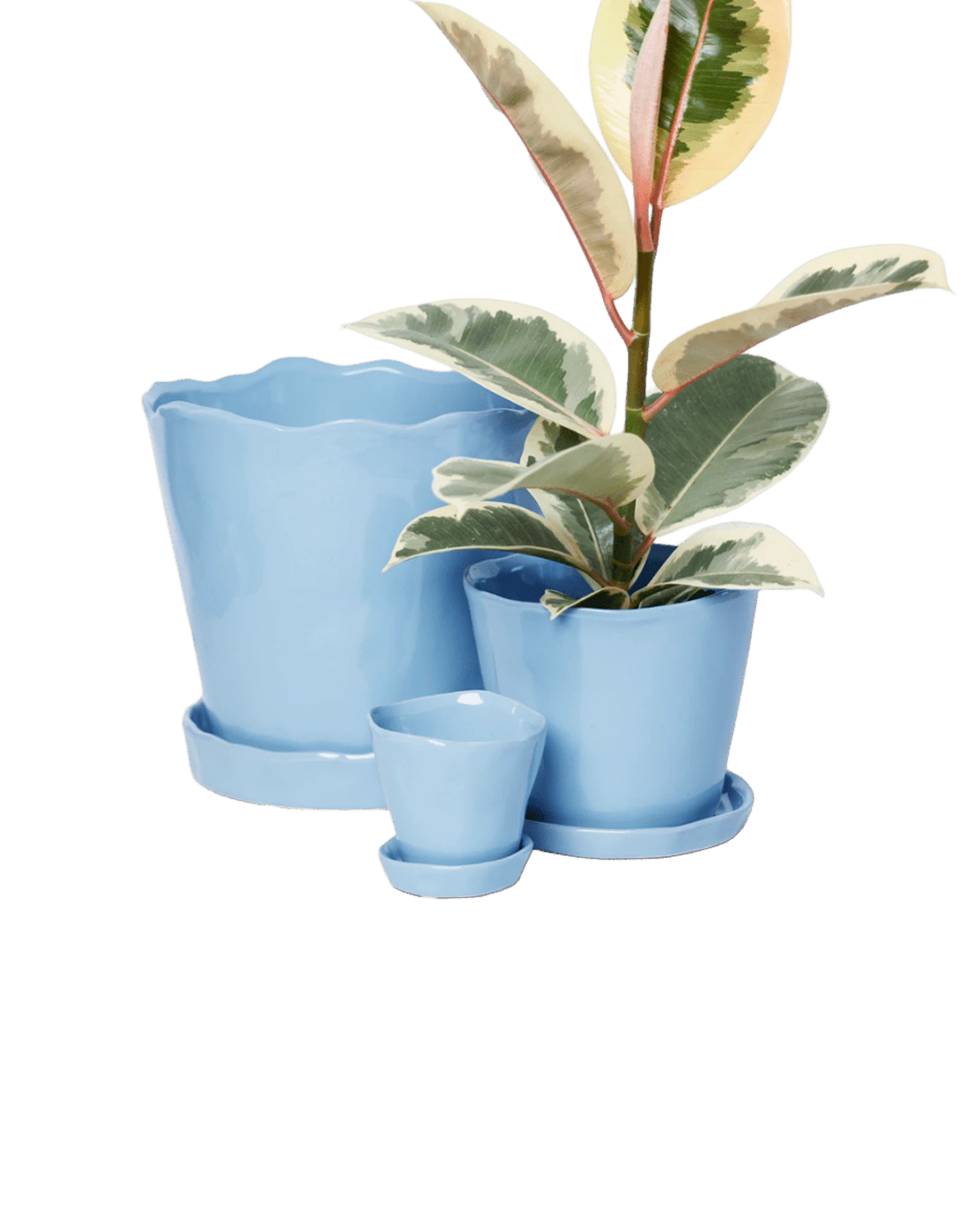 Chive Tika periwinkle glazed ceramic planters in small, medium and large sizes with drainage and saucers, styled with a plant.