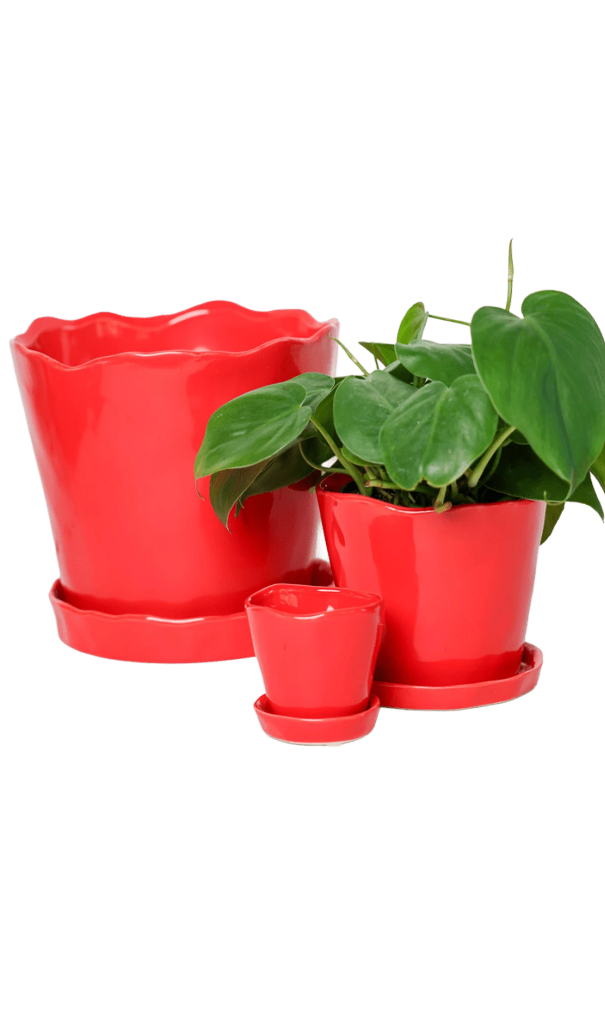 Chive Tika red ceramic planters in small, medium, and large with saucers, styled with a plant.