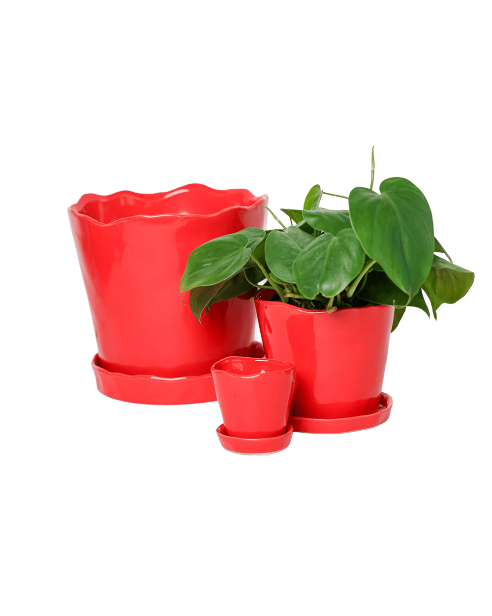 Chive Tika red glazed ceramic planters in small, medium and large sizes with drainage and saucers, styled with a plant.