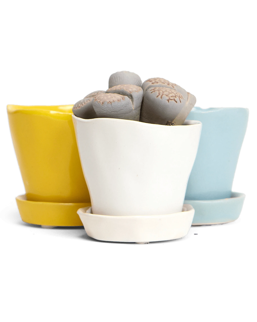 Three Chive Tika small ceramic planters with saucers, styled with succulents.