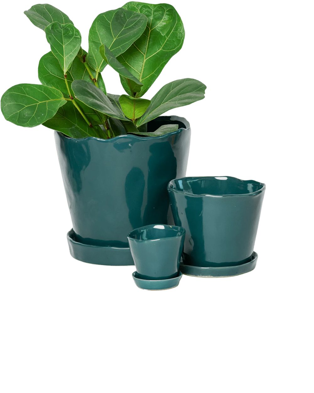 Chive Tika spruce glazed ceramic planters in small, medium and large sizes with drainage and saucers, styled with a plant.