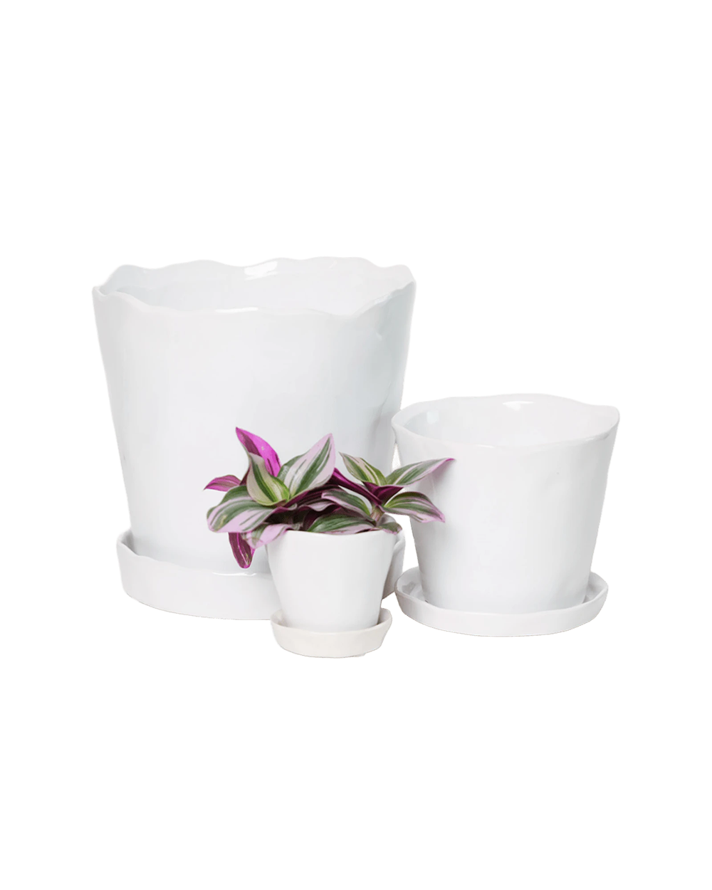 Chive Tika white glazed ceramic planters in small, medium and large sizes with drainage and saucers, styled with a plant.