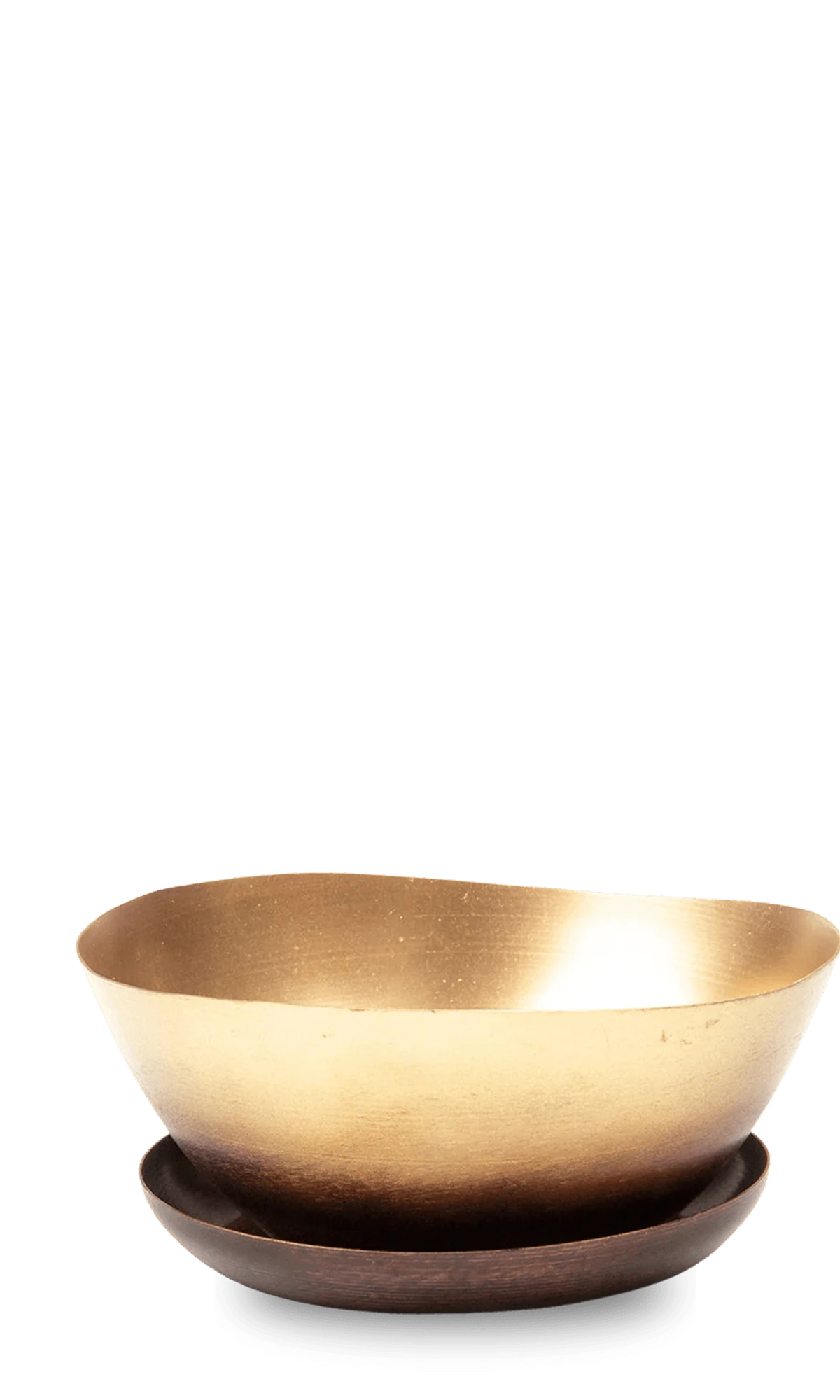 Chive Topper mahogany and gold metal small succulent dish with detachable drainage saucer.