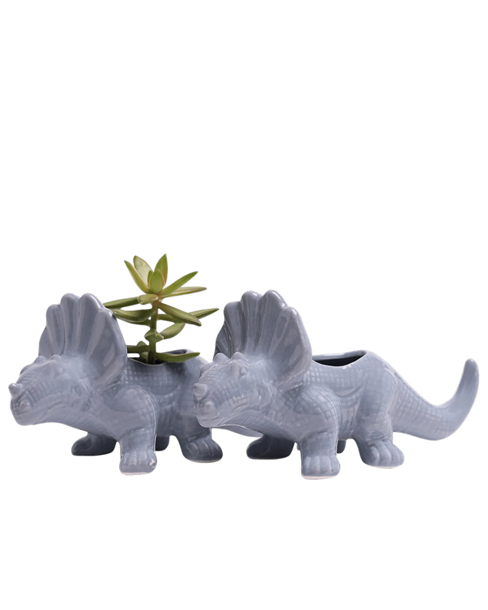 Two Chive Triceratops Cloud Blue color glazed ceramic dinosaur shaped planters styled with a plant.