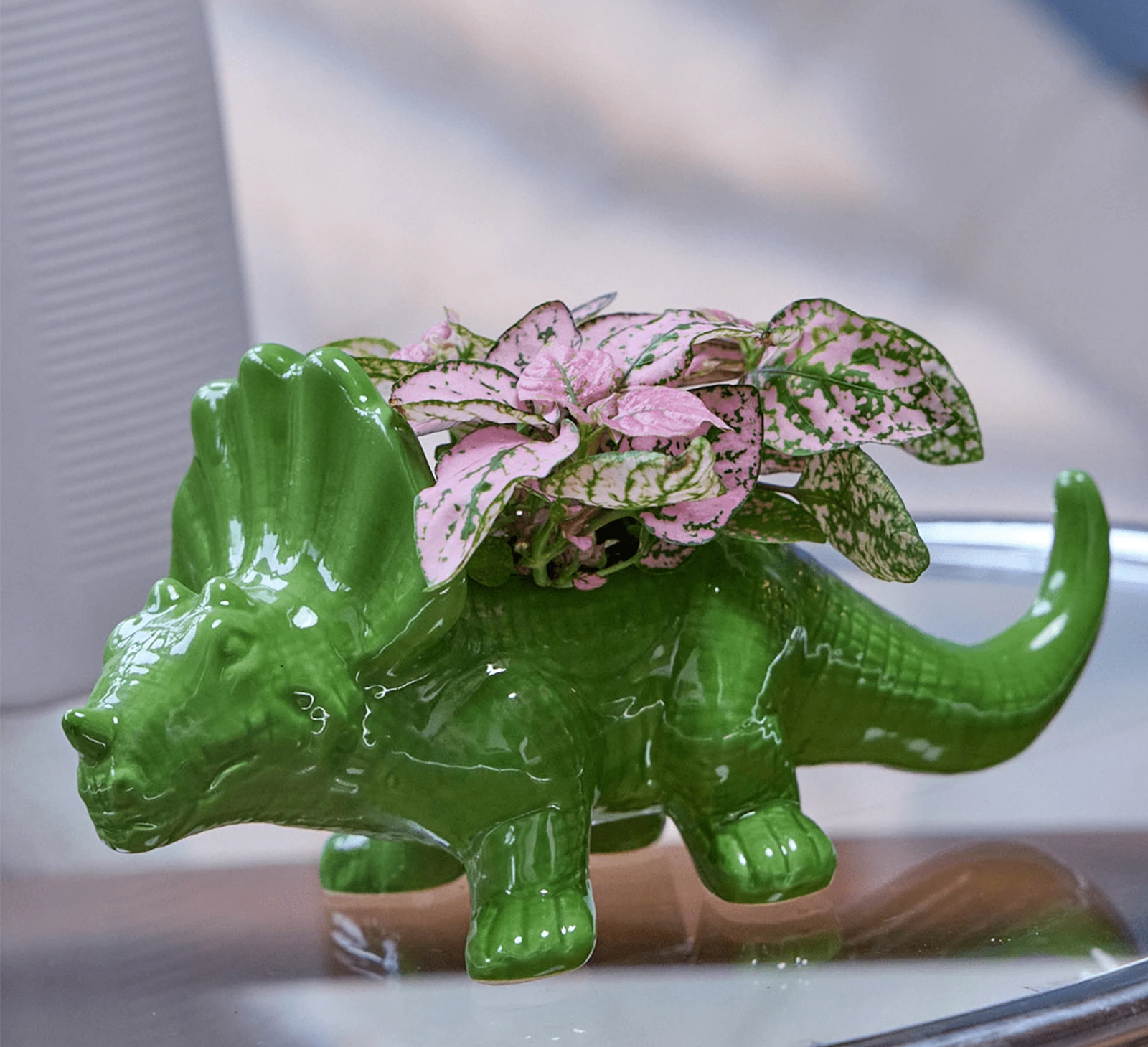 Chive Triceratops Foliage green color glazed ceramic dinosaur shaped planter styled with a plant, on a glass table indoor.