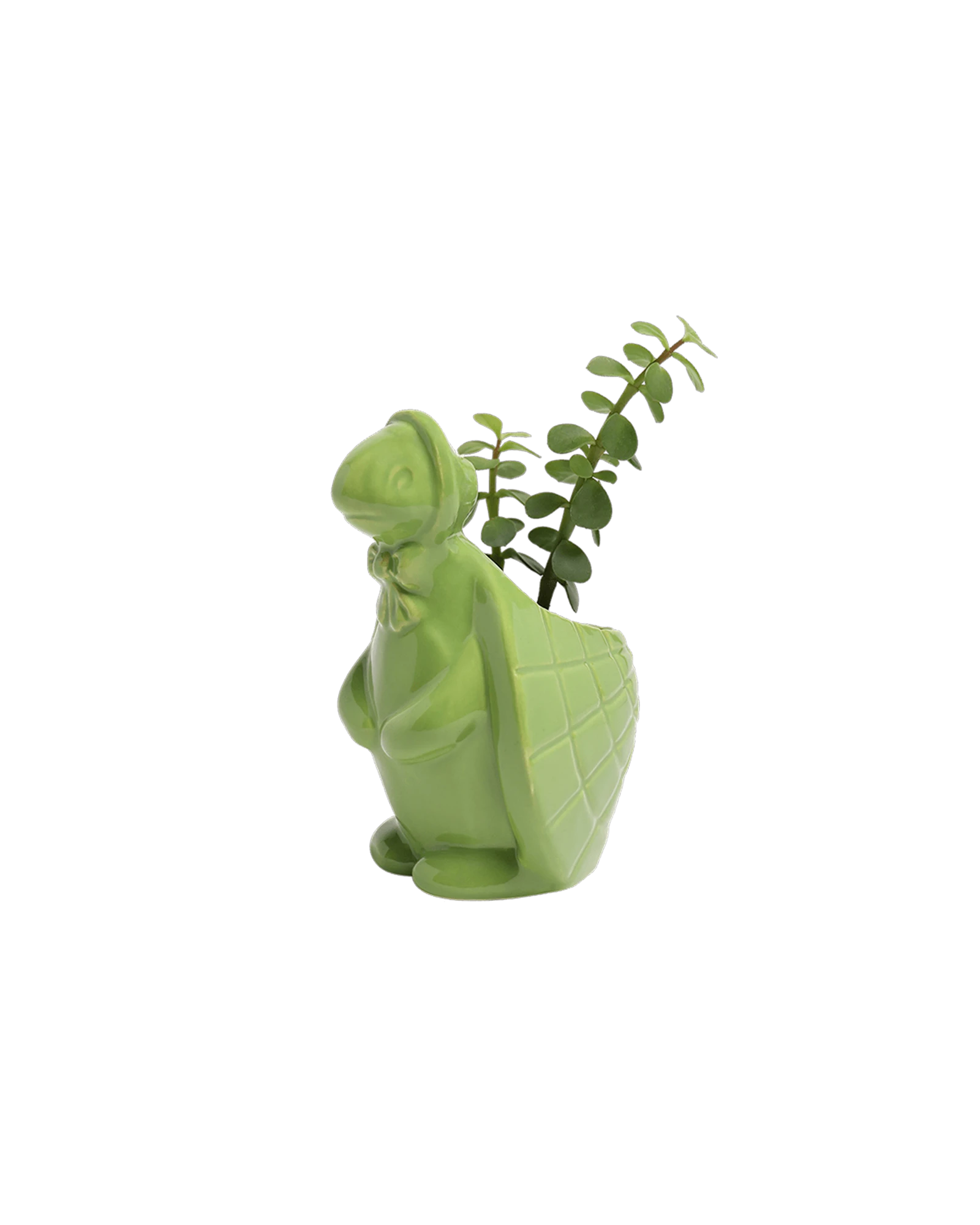 Chive Turtle Green color glazed ceramic turtle shaped planter styled with a small plant.