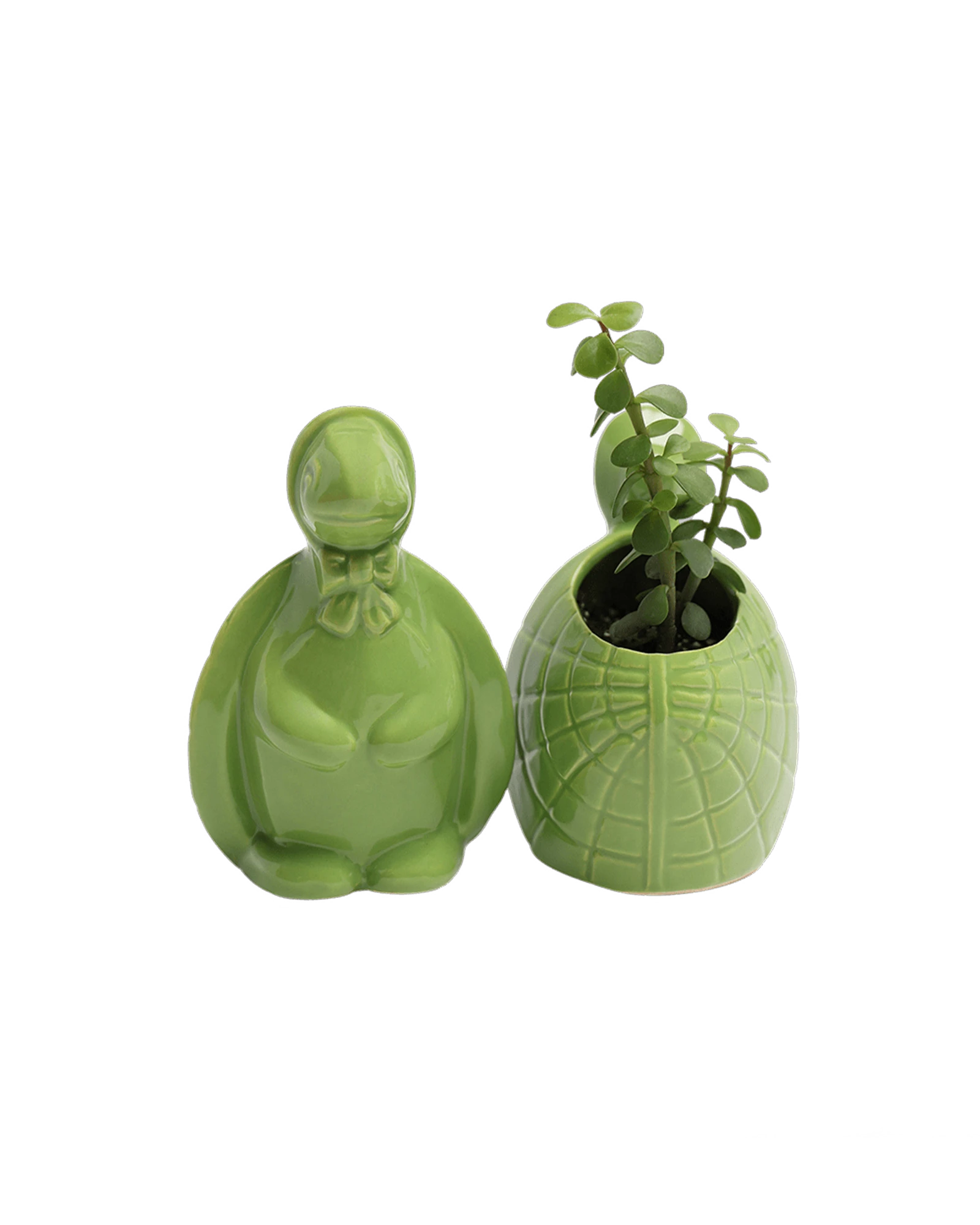 Two Chive Turtle Green color glazed ceramic turtle shaped planters styled with a plant.