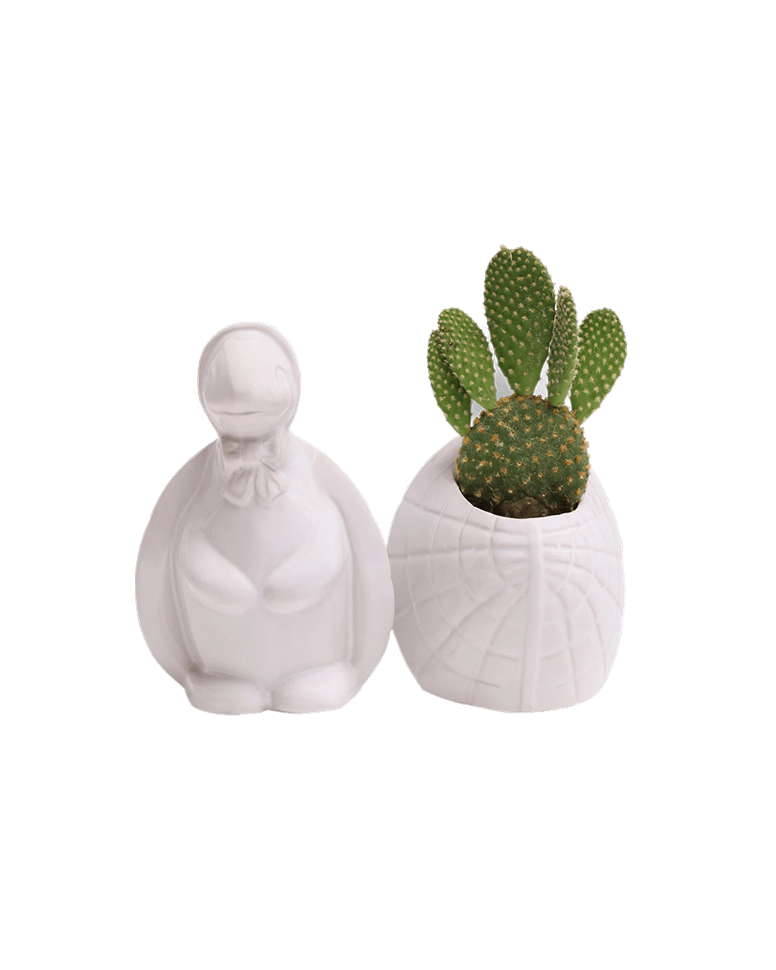 Two Chive Turtle White color glazed ceramic turtle shaped planters styled with a cactus.