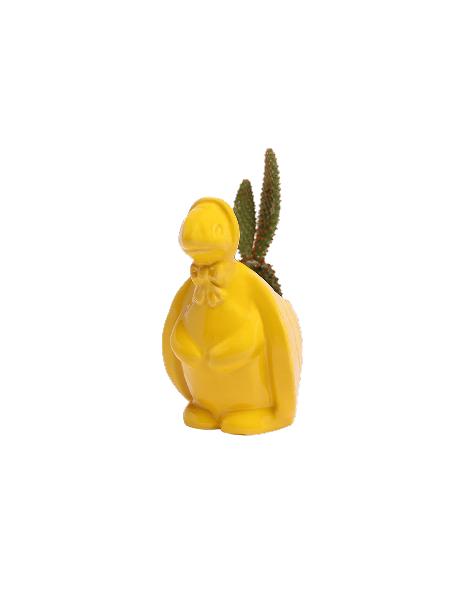Chive Turtle Yellow color glazed ceramic turtle shaped planter styled with a cactus plant.