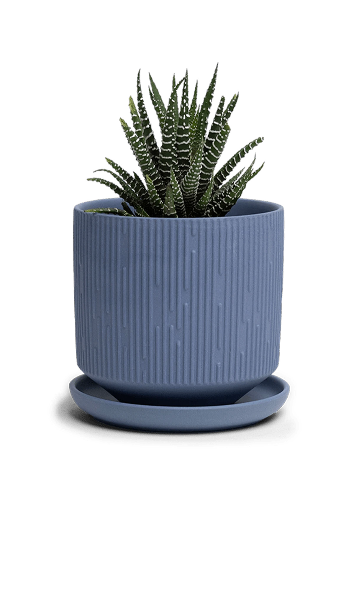 Chive Virago C medium blue grey porcelain pot with drainage and saucer styled with a plant.
