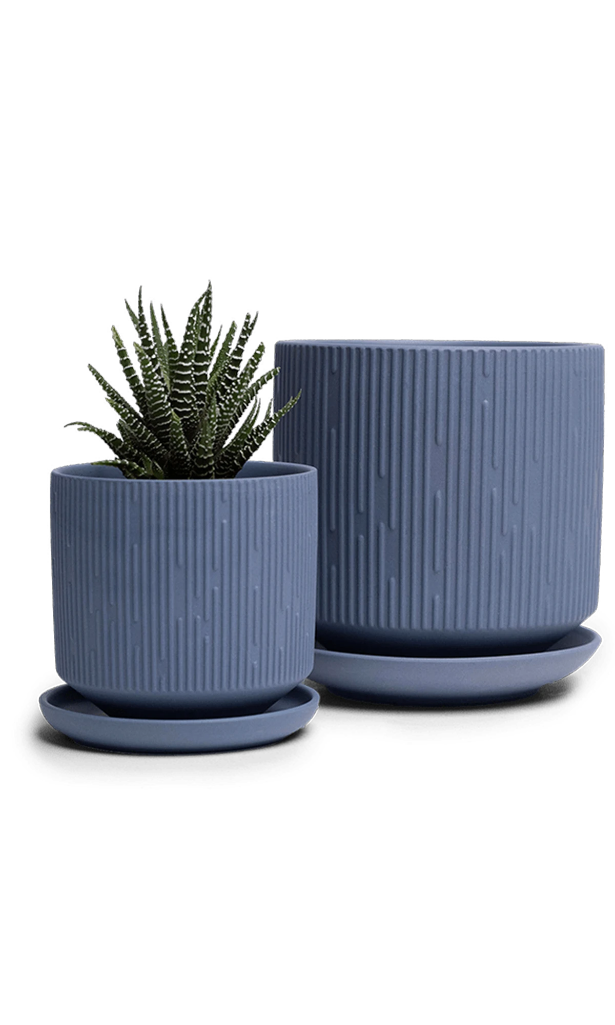 Two Chive Virago C blue grey porcelain pots with drainage and saucers styled with a plant in medium and small.