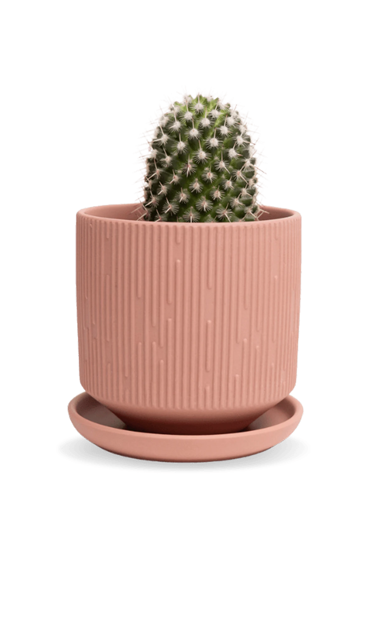 Chive Virago C medium clay terracotta porcelain pot with drainage and saucer styled with a plant.