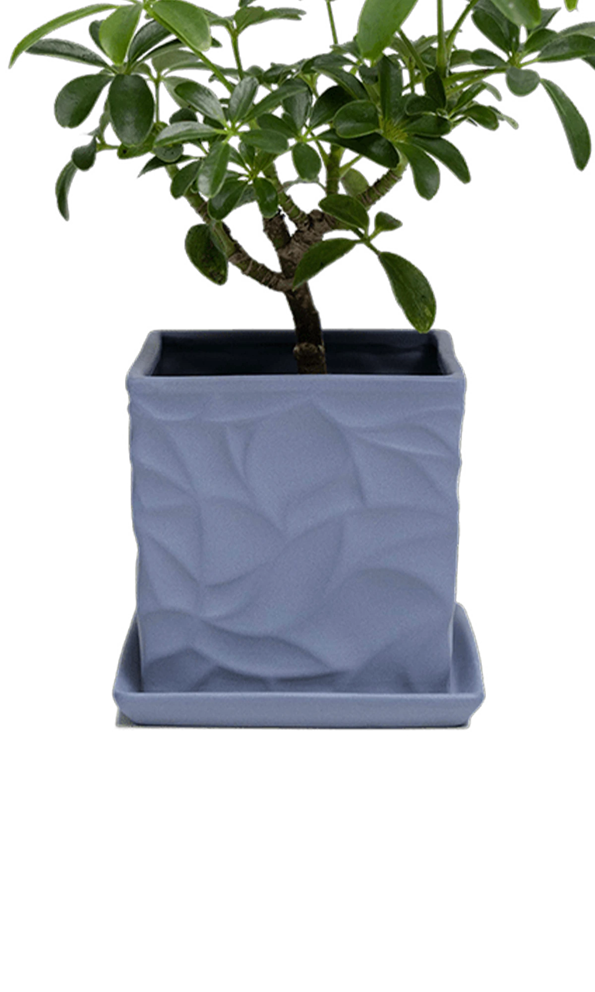 Chive Virago D medium blue grey porcelain pot with drainage and saucer styled with a plant.