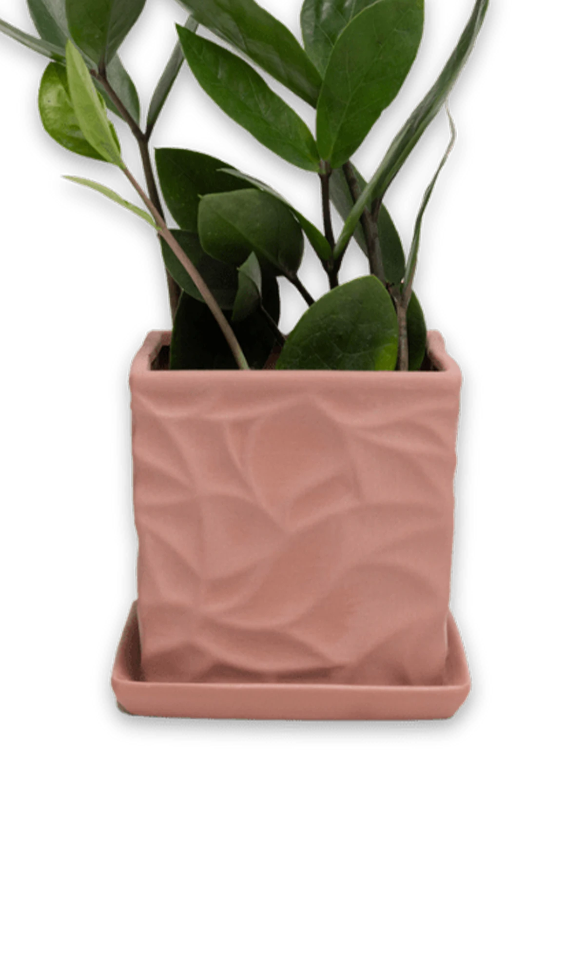 Chive Virago D medium clay terracotta porcelain pot with drainage and saucer styled with a plant.