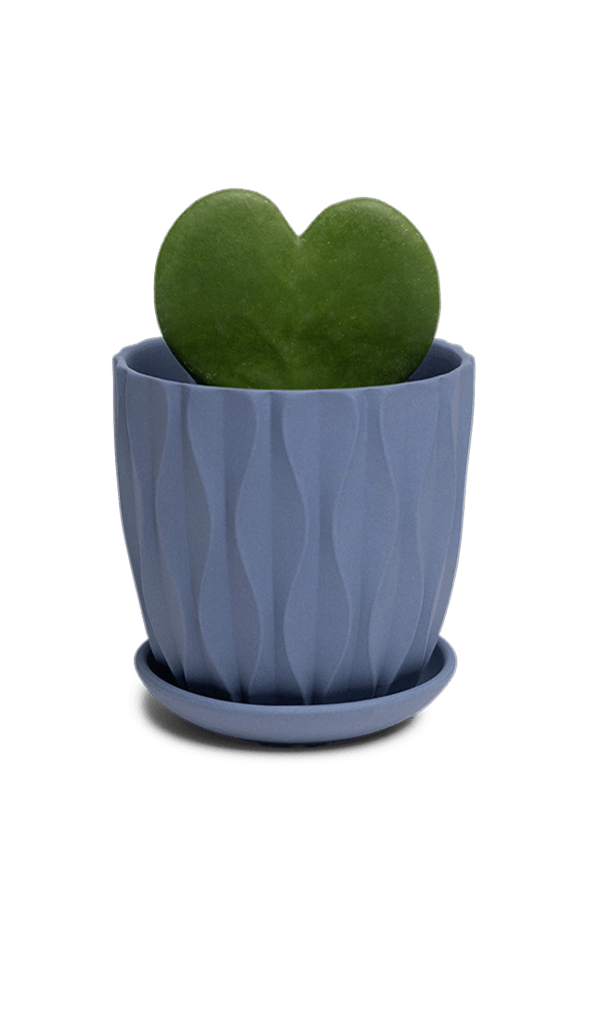 Chive Virago E medium blue grey porcelain pot with drainage and saucer styled with a plant.
