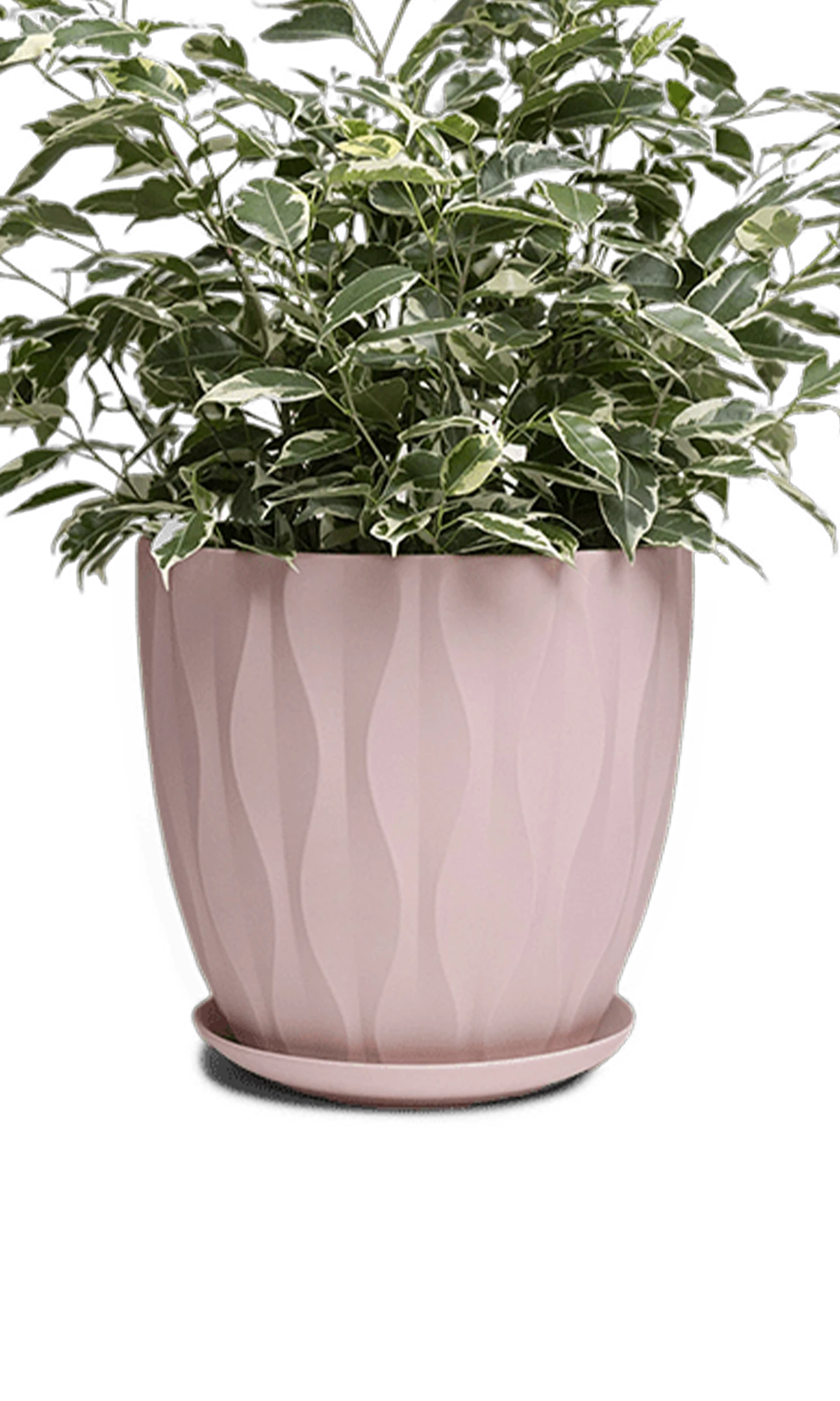 Chive Virago E large soft pink porcelain pot with drainage and saucer styled with a plant.