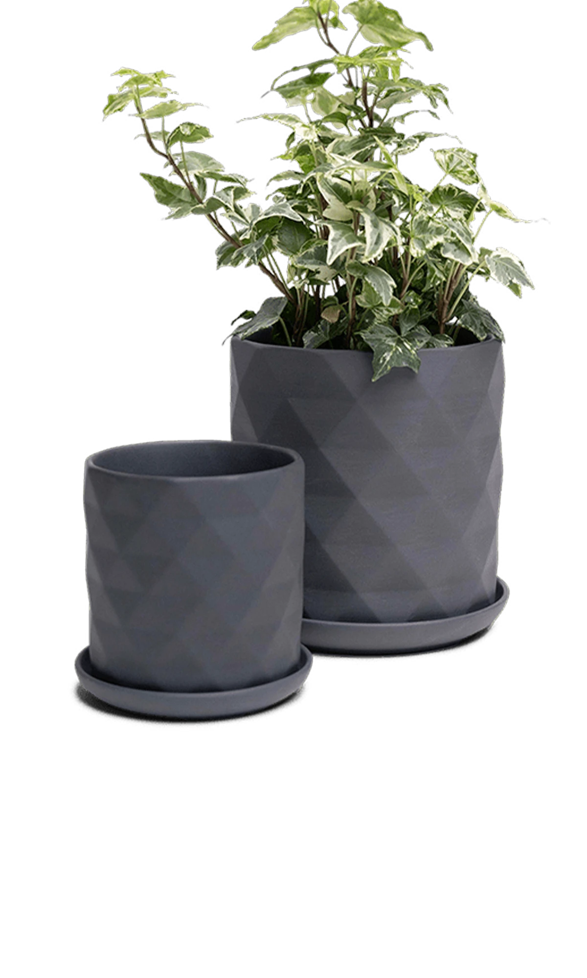 Two Chive Virago F black porcelain pots with drainage and saucers styled with a plant in small and medium.