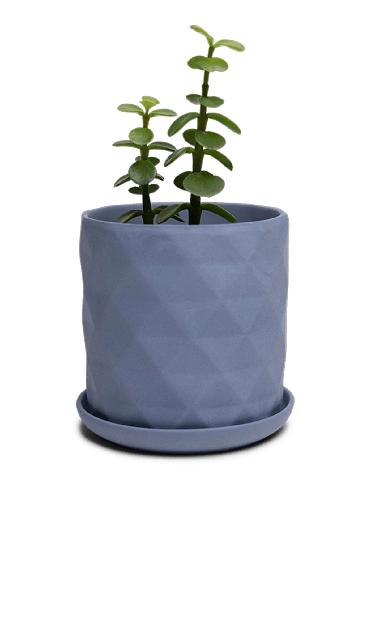 Chive Virago F small blue grey porcelain pot with drainage and saucer styled with a plant.