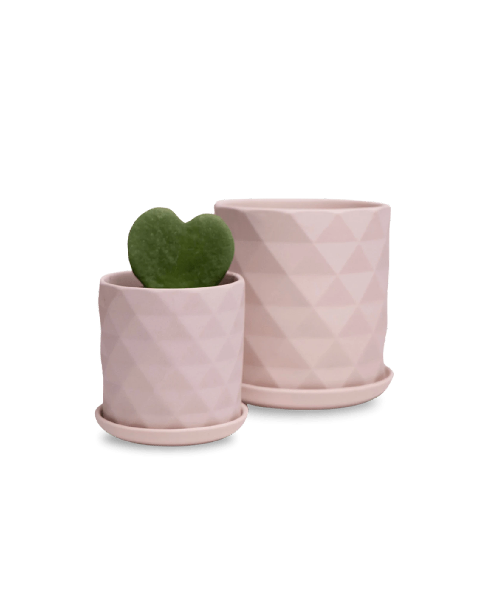 Two Chive Virago F soft pink porcelain pots with drainage and saucers styled with plants in small and medium.