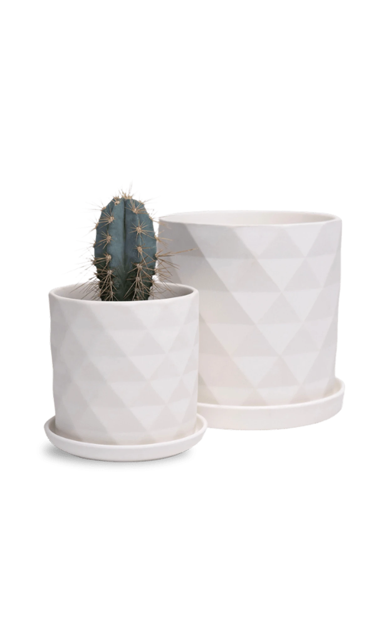 Two Chive Virago F white porcelain pots with drainage and saucers styled with a plant in size small and medium.