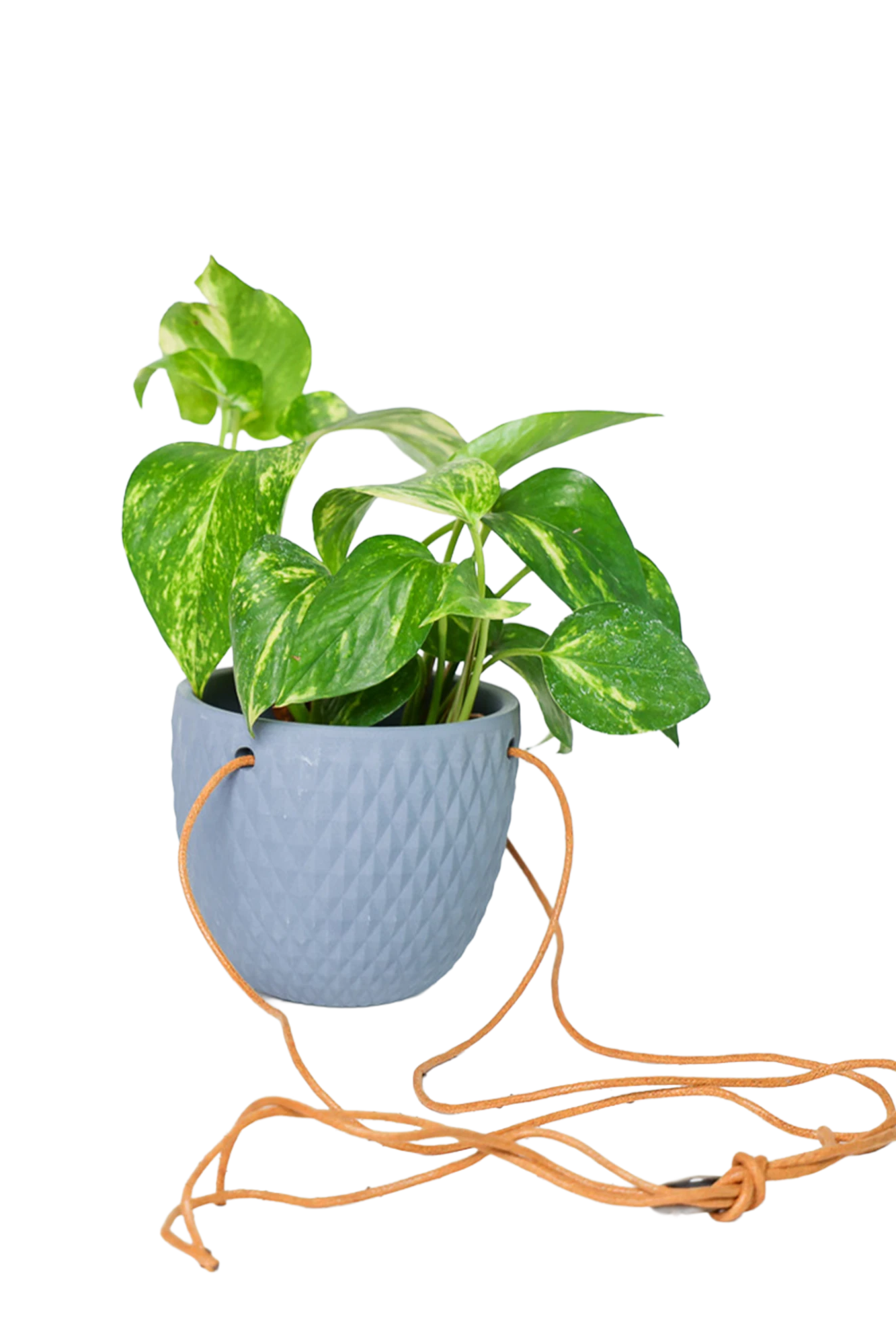 Chive Virago B blue grey ceramic hanging planter with no drainage styled with a plant, with loose cords.