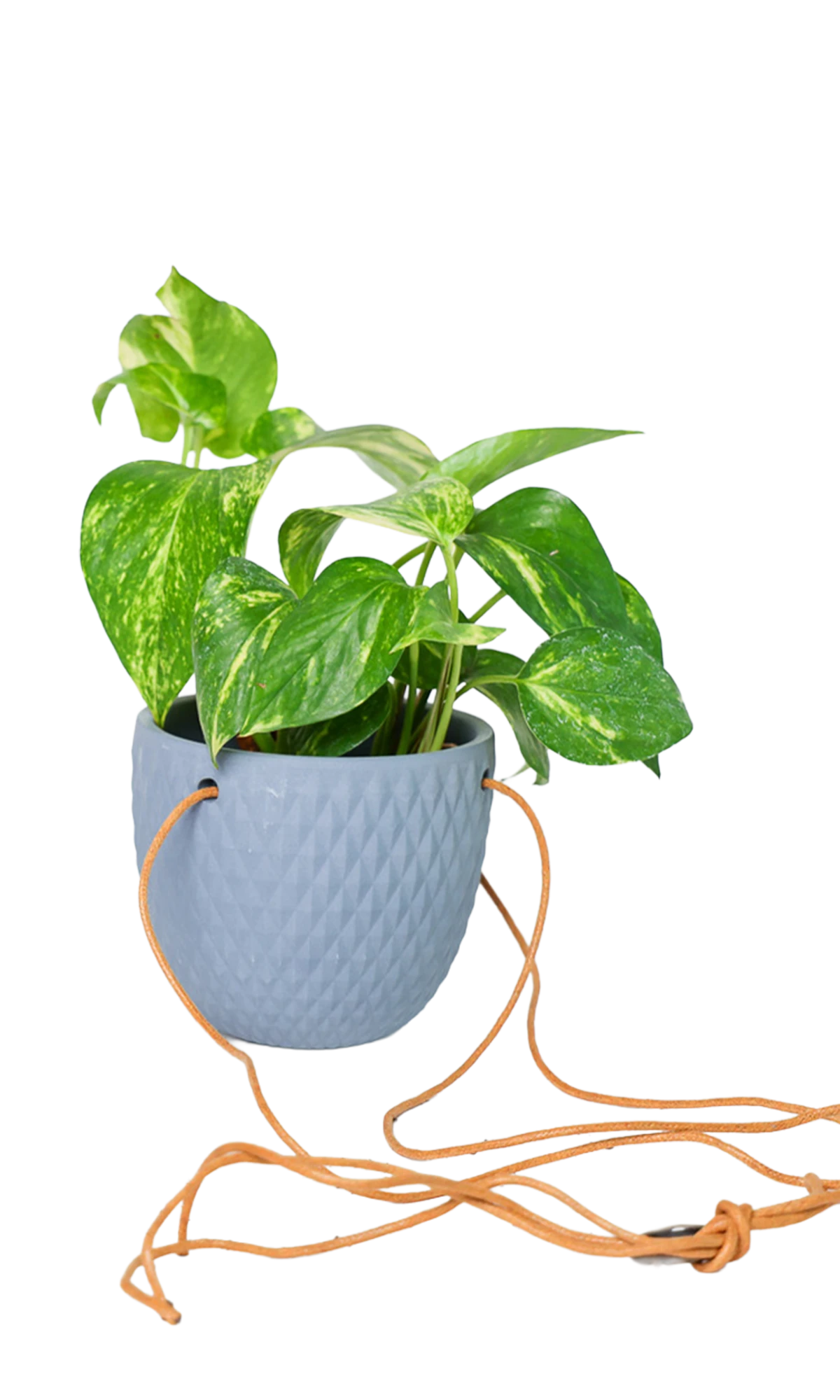 Chive Virago B blue grey ceramic hanging planter with no drainage styled with a plant, with loose cords.