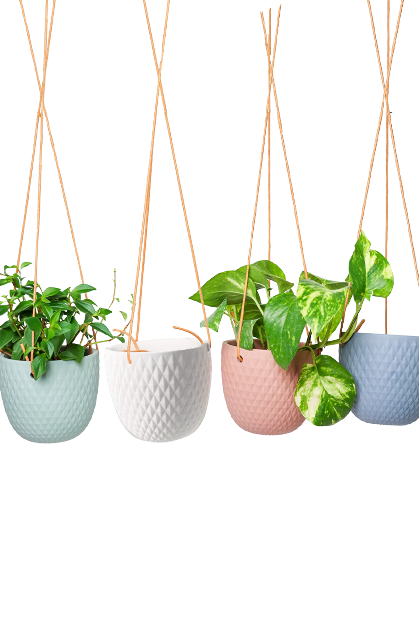 Chive Virago B ceramic hanging planters in blue grey, clay terracotta, peacock green, and white styled with plants.