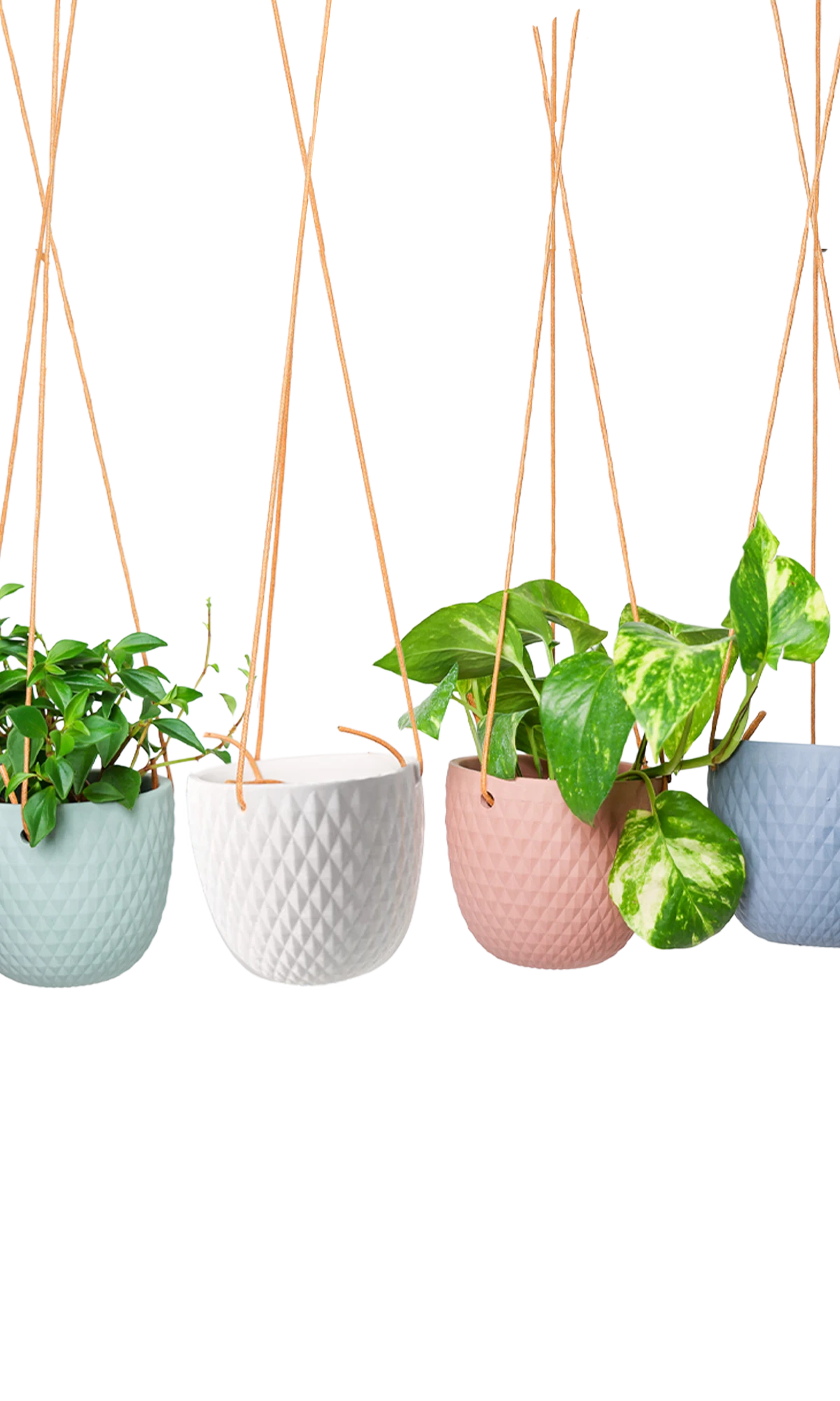 Chive Virago B ceramic hanging planters in blue grey, clay terracotta, peacock green, and white styled with plants.