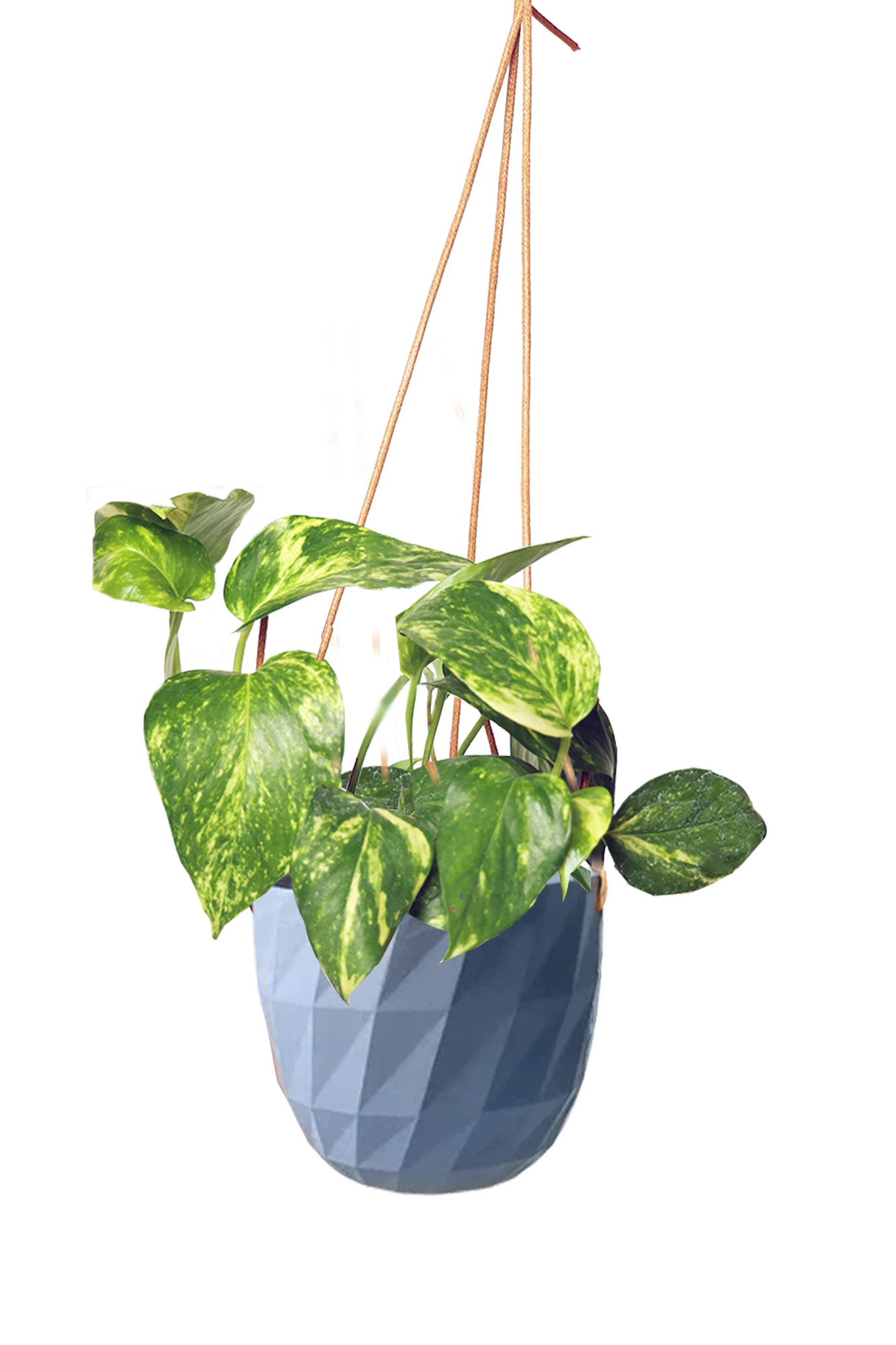 Chive Virago E blue grey ceramic hanging planter styled with a plant.
