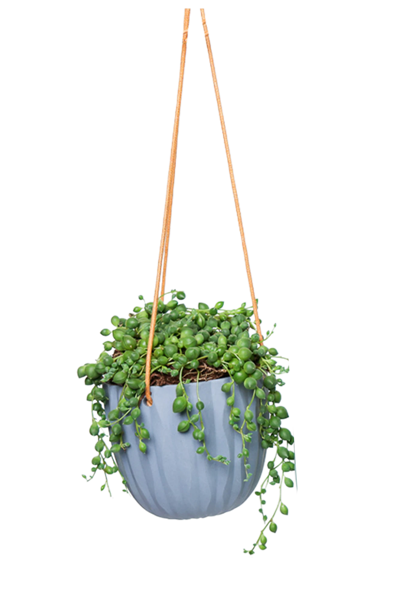 Chive Virago G blue grey ceramic hanging planter styled with a plant.