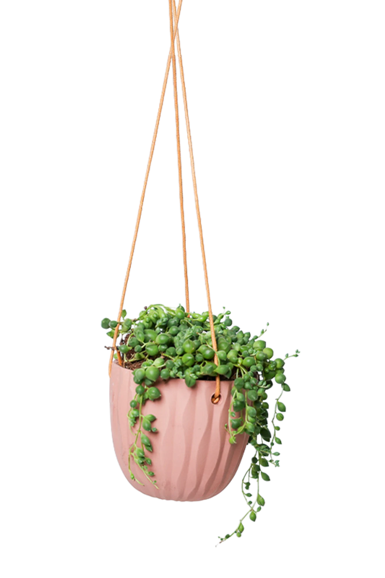Chive Virago G clay terracotta ceramic hanging planter styled with a plant.