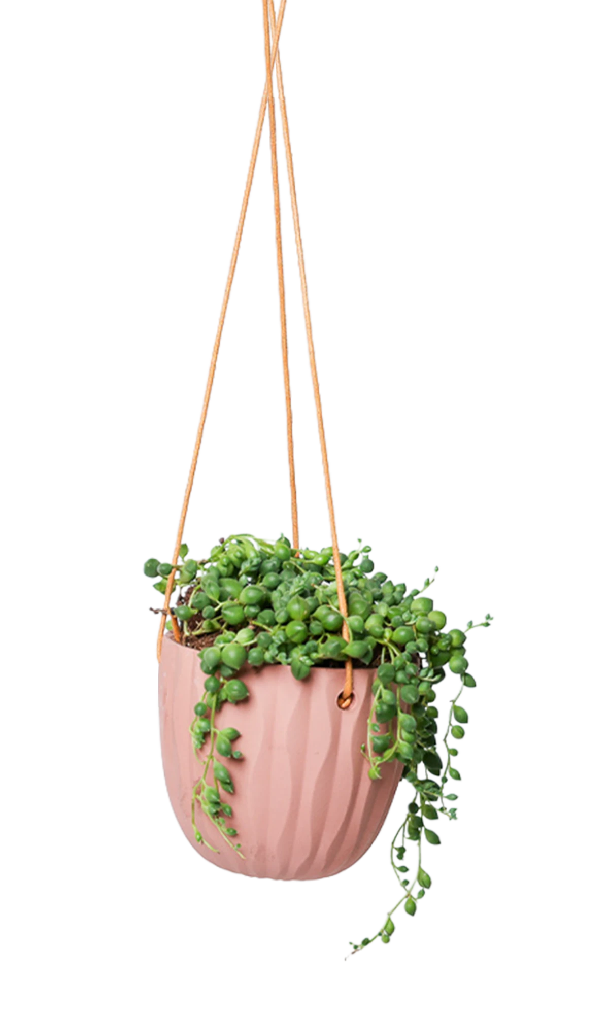 Chive Virago G clay terracotta ceramic hanging planter styled with a plant.