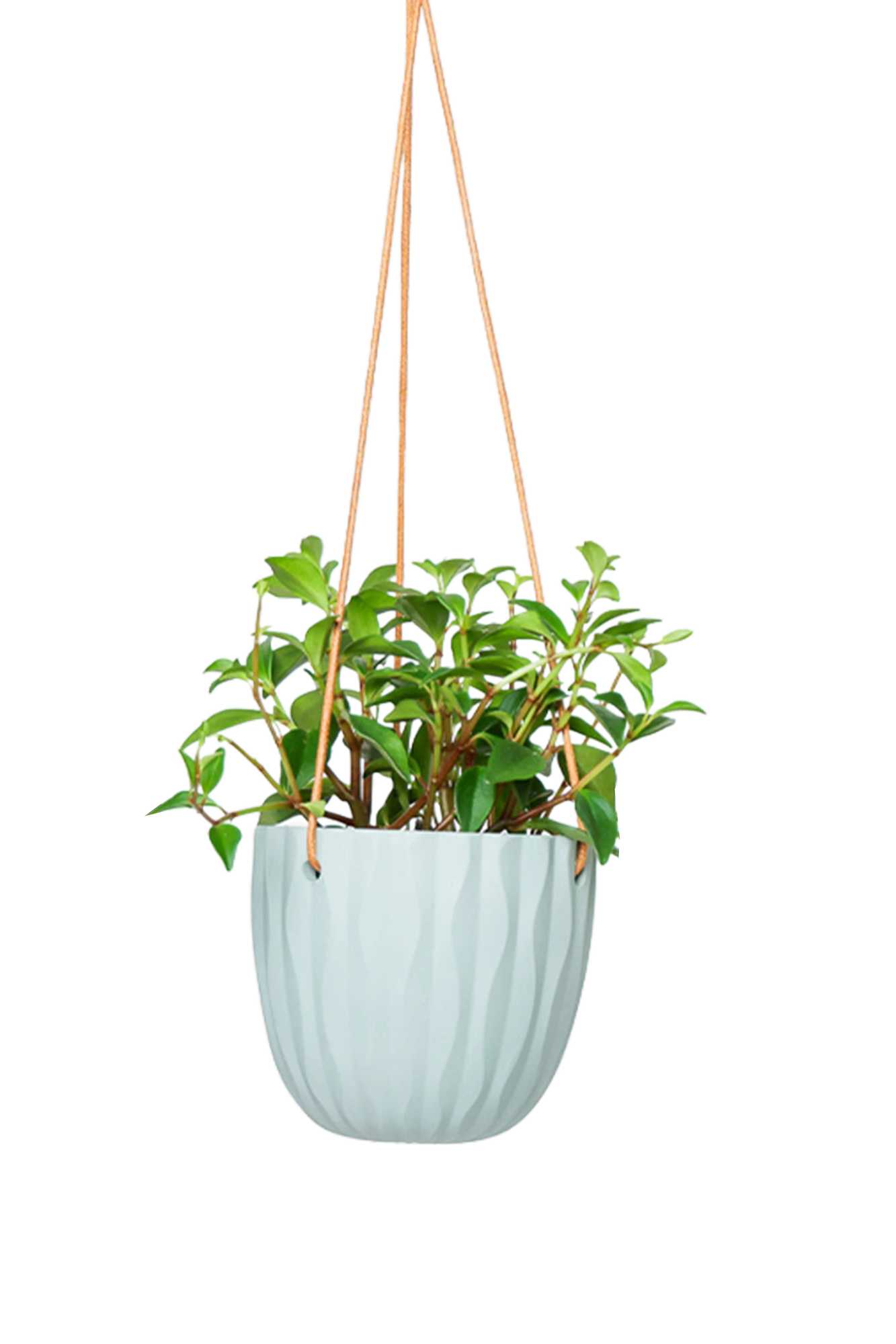 Chive Virago G peacock green ceramic hanging planter styled with a plant.
